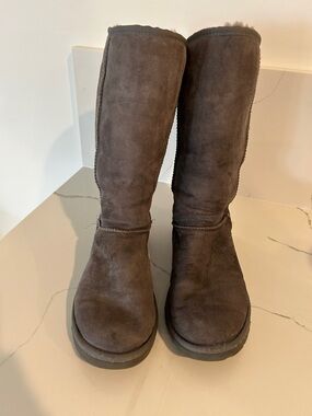 Ugg Classic Tall Suede Winter Boots - gray